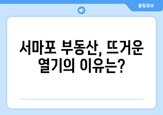 서마포 부동산 열풍의 실체: 1억대 아파트 등장의 의미와 전망