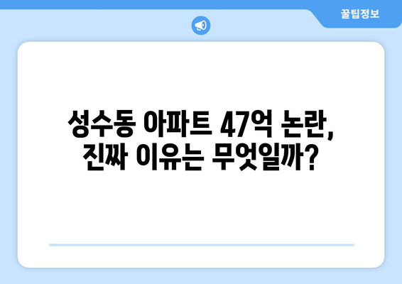 성수동 아파트 47억 논란, 진짜 이유는 무엇일까?