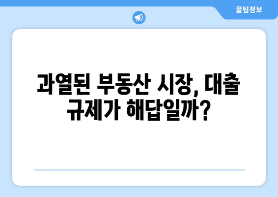 대출규제와 집값 안정: 전문가들이 제시하는 효과적인 정책 방향