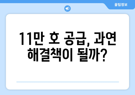 정부, 내년까지 11만 호 공급 계획…속도보다 방향이 관건