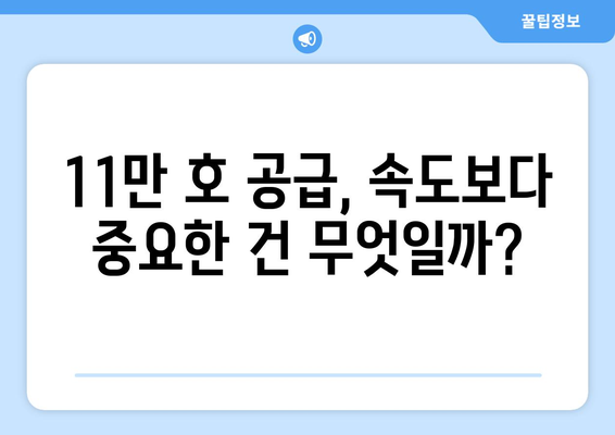 정부, 내년까지 11만 호 공급 계획…속도보다 방향이 관건