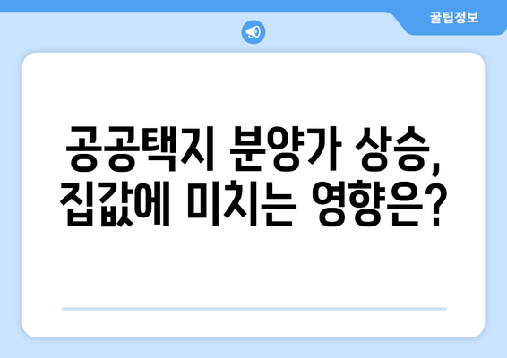 공공택지 분양가 상승이 주택 시장에 미치는 영향과 대책