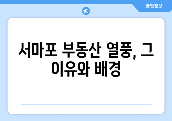 서마포 부동산 열풍의 실체: 1억대 아파트 등장의 의미와 영향