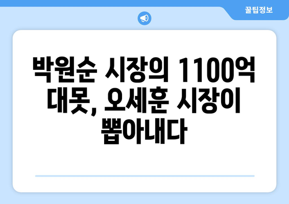 오세훈, 1100억 들인 박원순의 대못 결국 제거