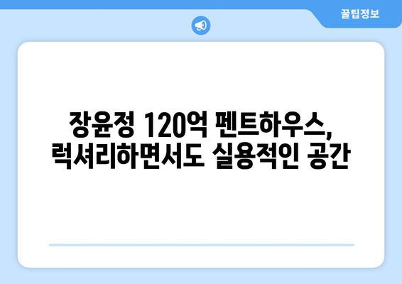 장윤정의 120억 펜트하우스 내부 공개…깔끔한 고급 인테리어