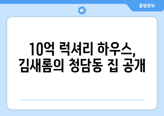 김새롬의 10억 청담동 집, 인테리어에만 2억 들인 사연