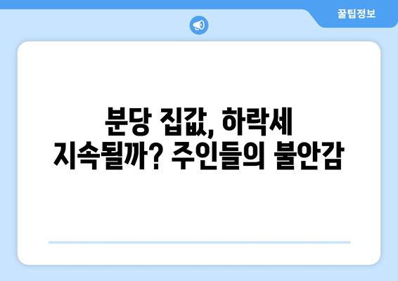 분당 부동산 시장, 집주인들의 분노 이유는?