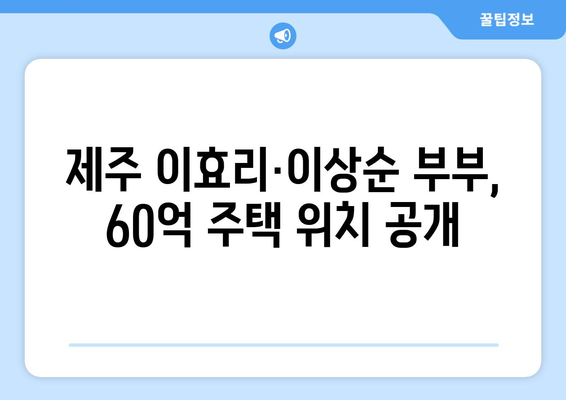 이효리·이상순 부부, 제주 떠나 구매한 60억 주택의 위치는?