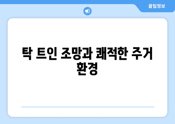 송도 래미안 2549가구 대단지, 분양 소식과 투자 가치