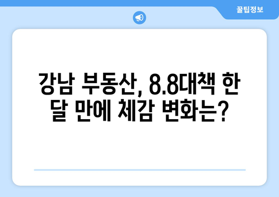 8.8대책 후 한 달…강남 부동산 성적표는?