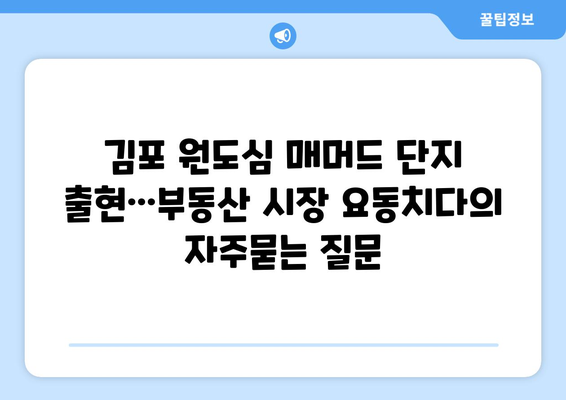 김포 원도심 매머드 단지 출현…부동산 시장 요동치다