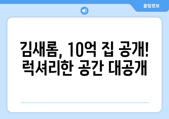 김새롬의 청담동 10억 집, 2억 인테리어 비용 공개