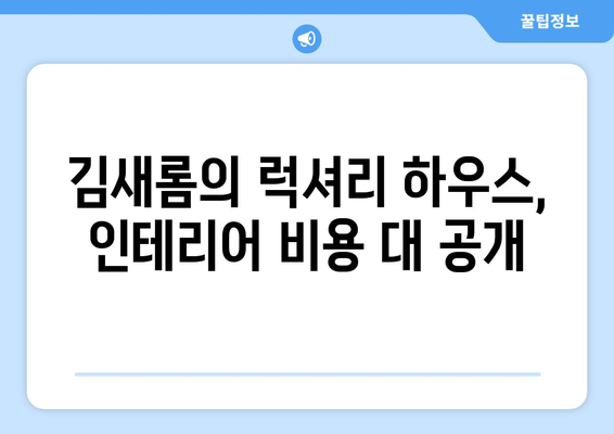 김새롬의 청담동 10억 집, 2억 인테리어 비용 공개