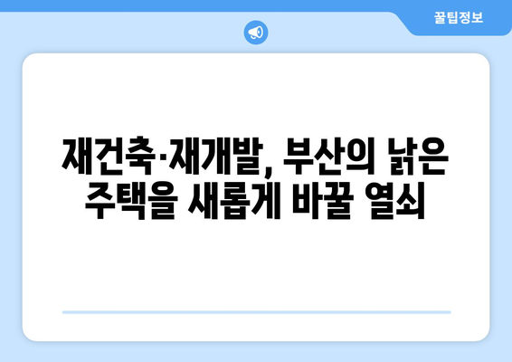 부산 아파트 절반이 20년 이상, 재건축과 재개발의 미래는?