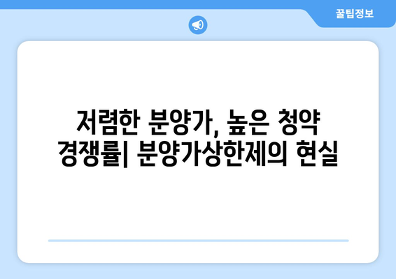 분양가상한제 아파트의 인기: 수도권 청약자 80%가 선택한 이유