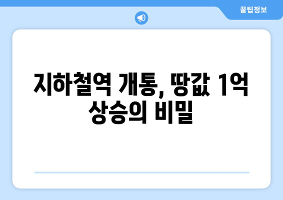 교통 개발이 부동산 가치에 미치는 영향: 1억 상승한 불모지 사례