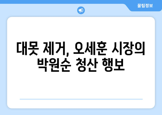 오세훈, 1100억 들인 박원순의 대못 결국 제거