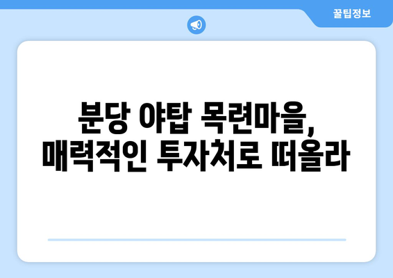 분당 야탑 목련마을 경매 열기, 투자자들이 몰린 이유