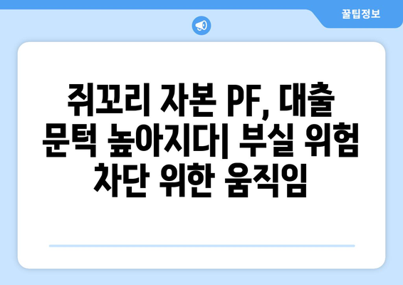 쥐꼬리 자본 PF, 대출 문턱 높여…부실 위험 사전 차단