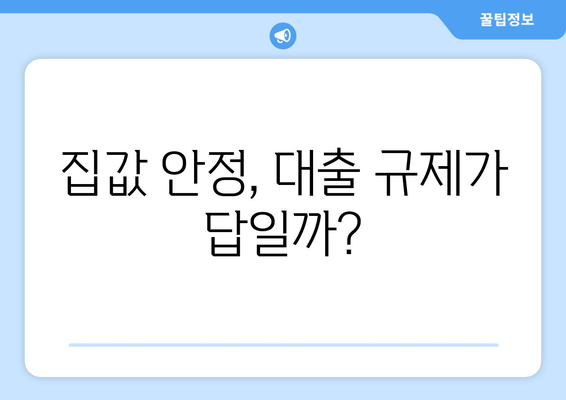 대출규제와 집값: 전문가들이 제시하는 장기적 해결 방안