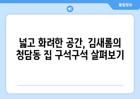 김새롬의 10억 청담동 집, 인테리어에만 2억 들인 사연