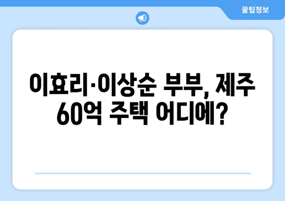 이효리·이상순 부부, 제주 떠나 구매한 60억 주택의 위치는?