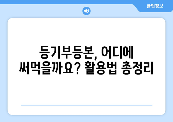 등기부등본 이해하기: 3분 만에 알아보는 요약서