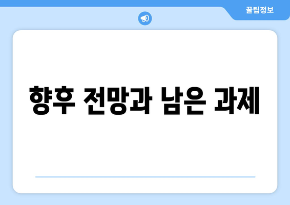 향후 전망과 남은 과제