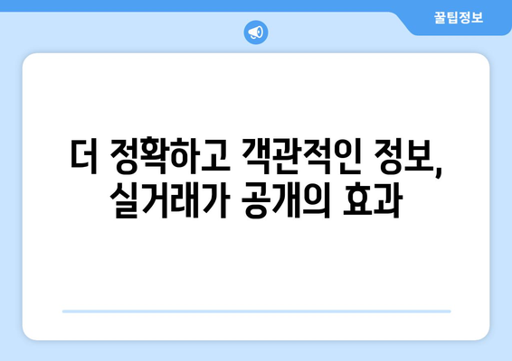 아파트 실거래가 공개 확대: 부동산 거래 관리 시스템 도입