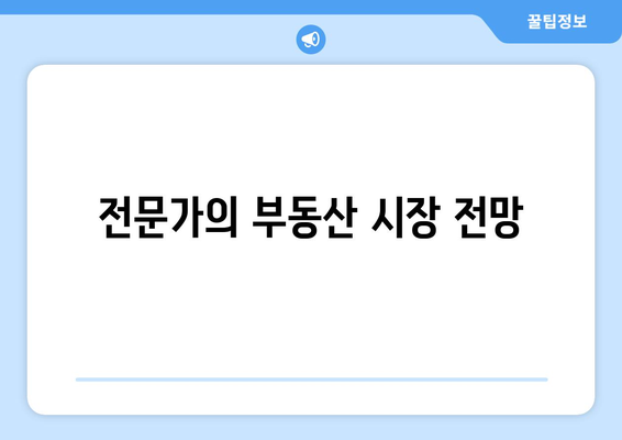 전문가의 부동산 시장 전망