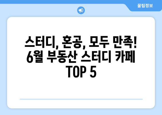 6월 추천 부동산 스터디 카페 목록 최신 정보