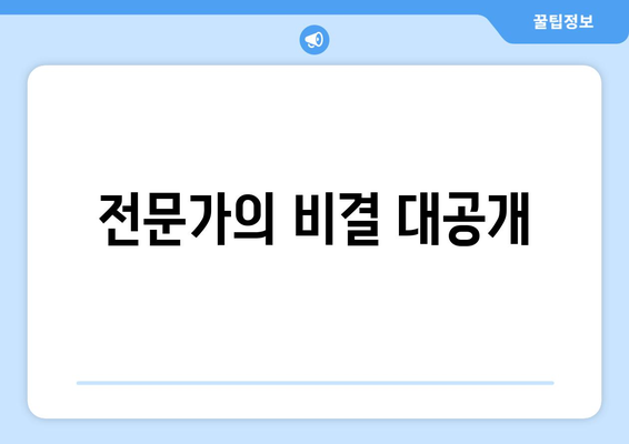 전문가의 비결 대공개