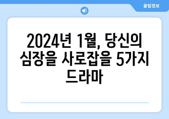 2024년 1월 최신 미드, 외국 드라마 TOP 5