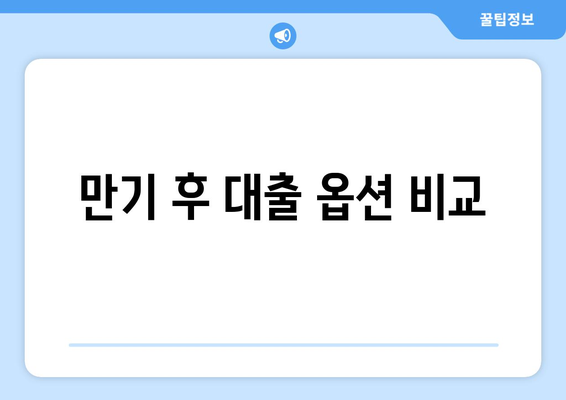 만기 후 대출 옵션 비교