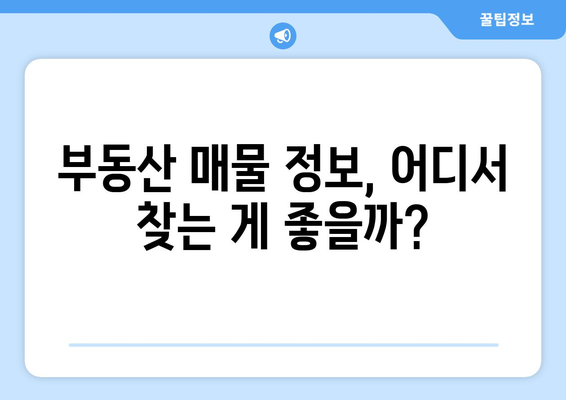 부동산 뱅크, 이실장, 매경부동산 중 가장 좋은 매물 전송 사이트 선택하기