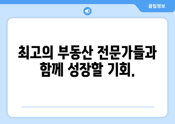 부동산 전문업체 모집: 부동산플래닛의 자산관리 서비스