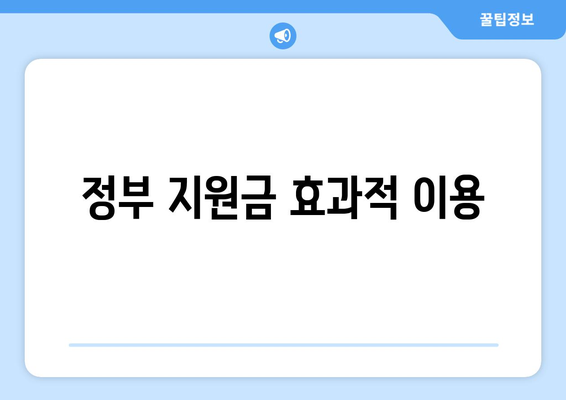 정부 지원금 효과적 이용