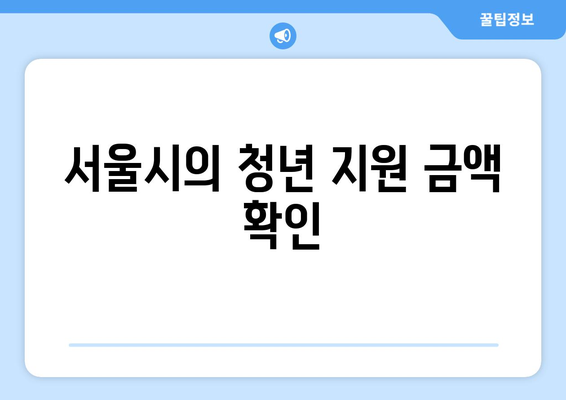 서울시의 청년 지원 금액 확인