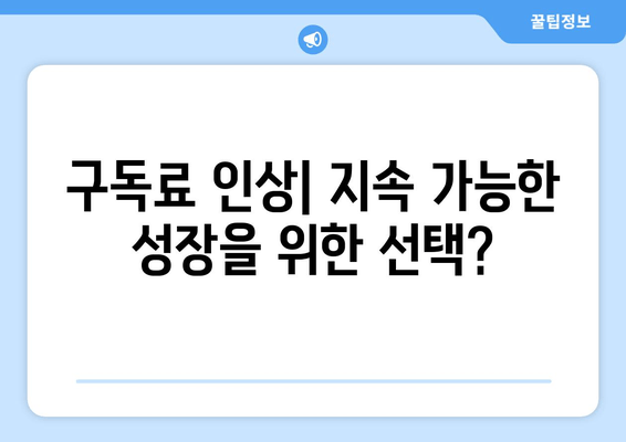 2024년 하반기 OTT 업계 전망