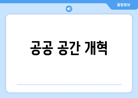 공공 공간 개혁