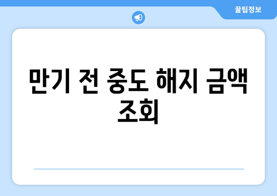 만기 전 중도 해지 금액 조회