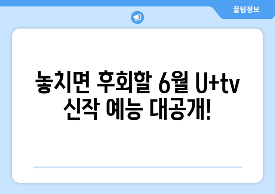 U+tv에서 6월 신작 예능을 소개합니다.