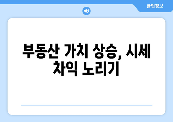 수익성 극대화를 위한 부동산 관리