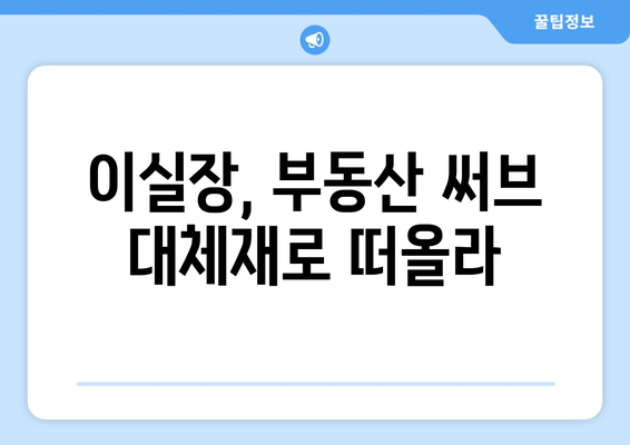 부동산 써브 대체재: 집주인 광고를 저렴하게 할 수 있는 이실장