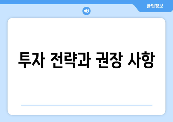 투자 전략과 권장 사항