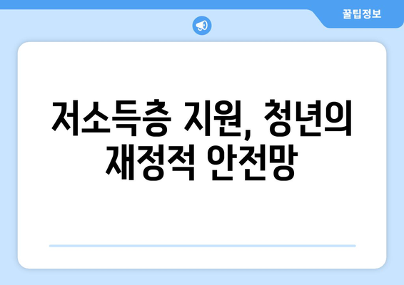 저소득층 지원, 청년의 재정적 안전망