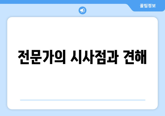 전문가의 시사점과 견해