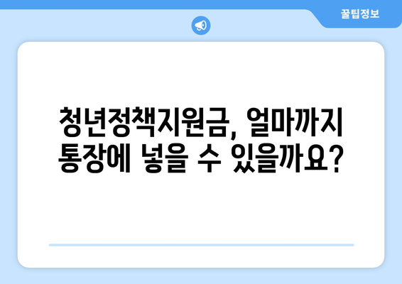 청년정책지원금 통장 납입 한도 규정