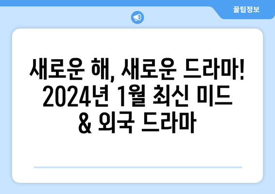 2024년 1월 최신 미드, 외국 드라마 TOP 5