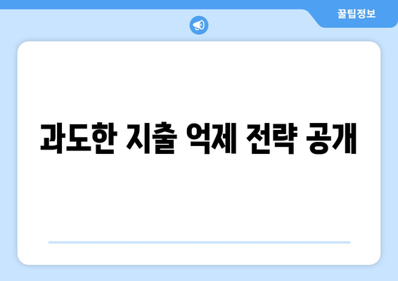 과도한 지출 억제 전략 공개